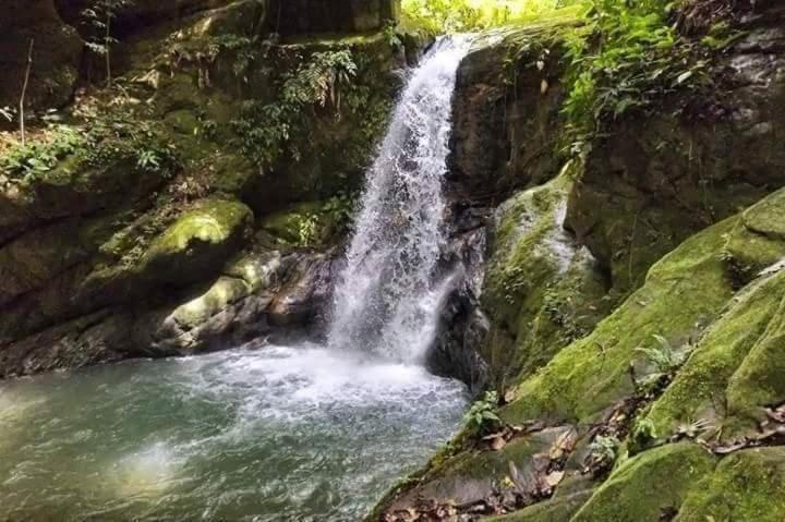 Hotel Posada Campestre San Juan Monterrey Ngoại thất bức ảnh